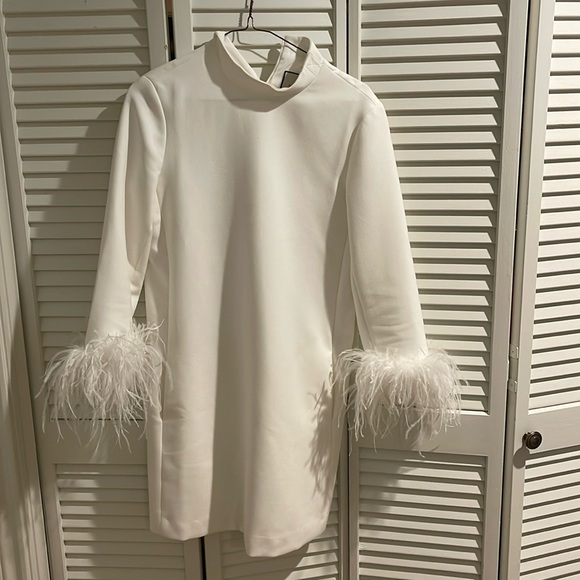 Tuckernuck Dresses & Skirts - Tuckernuck Feather Sleeve Dress White